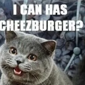 Which Chat App Are You? Quiz Drop memes or GIFs
