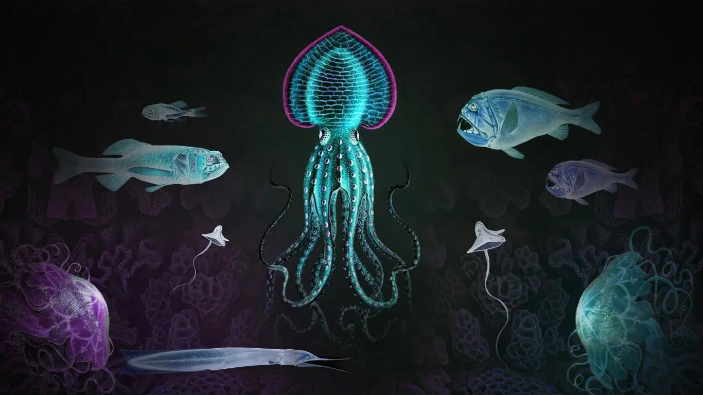 Marine Biology Trivia Quiz Bioluminescent deep sea creatures