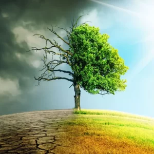 Spring Idioms Quiz To make a fresh start or change one\'s behavior for the better