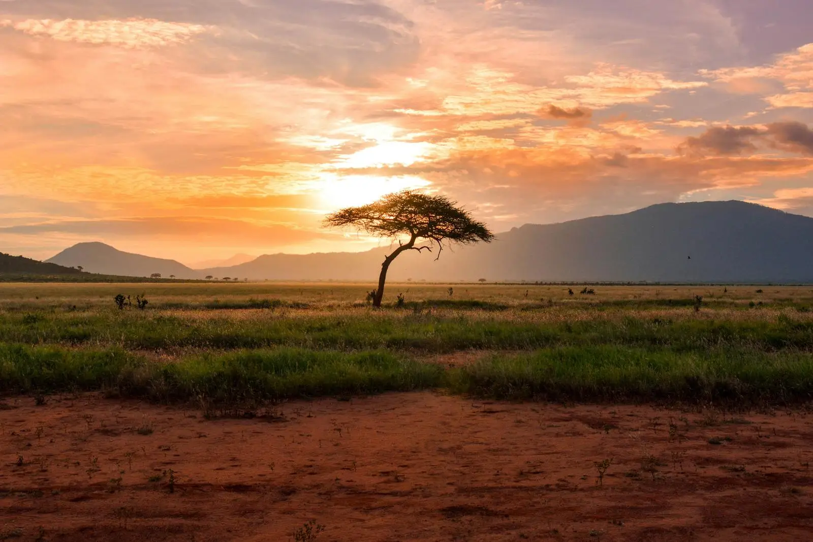 Intermediate General Knowledge Quiz Africa