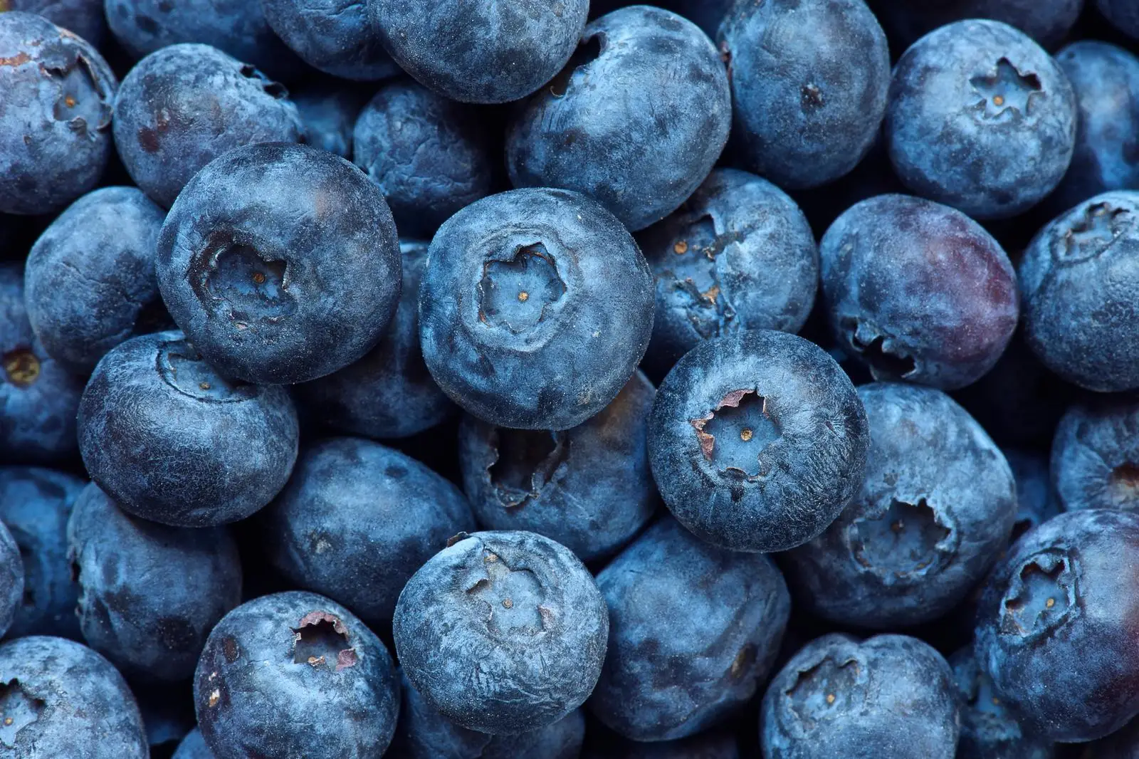 Blue Food Personality Quiz Blueberries