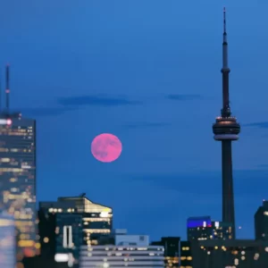 Are You A Sunbeam, Moonlight, Starlight, Or A Shadow? Quiz Clear night