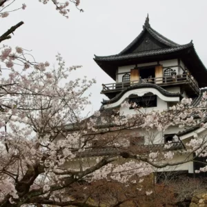 What Kingdom Would You Rule? Quiz Inuyama Castle, Japan