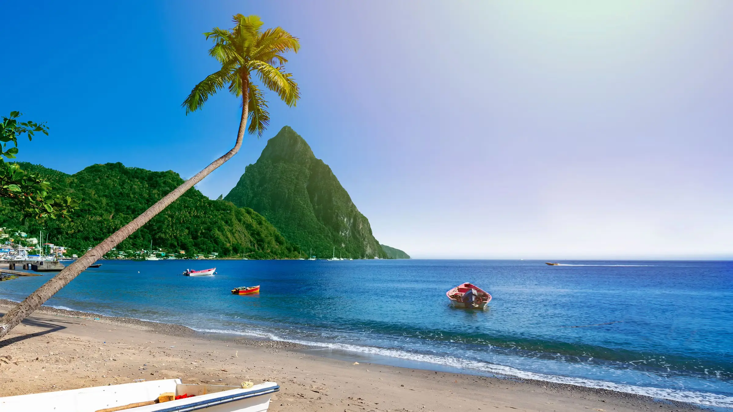 What Type Of Dolphin Are You? Quiz Saint Lucia island beach