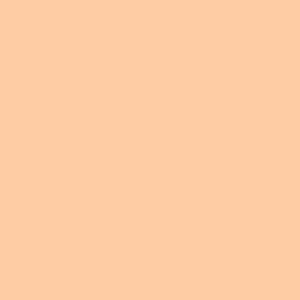 Pick Shade From Each Color To Know Something About Your… Quiz Peach