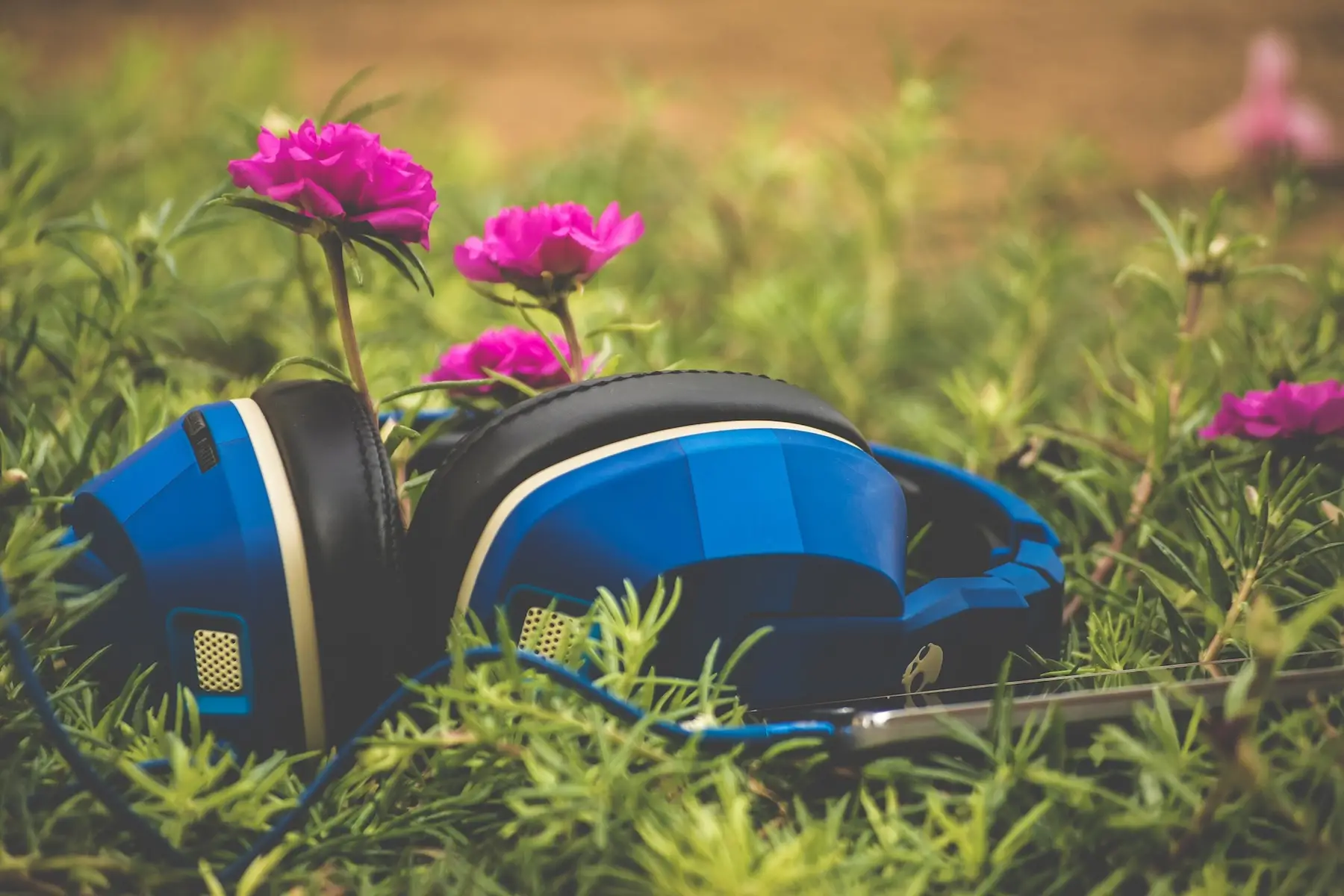 Which Easter Candy Are You? Quiz Nature music