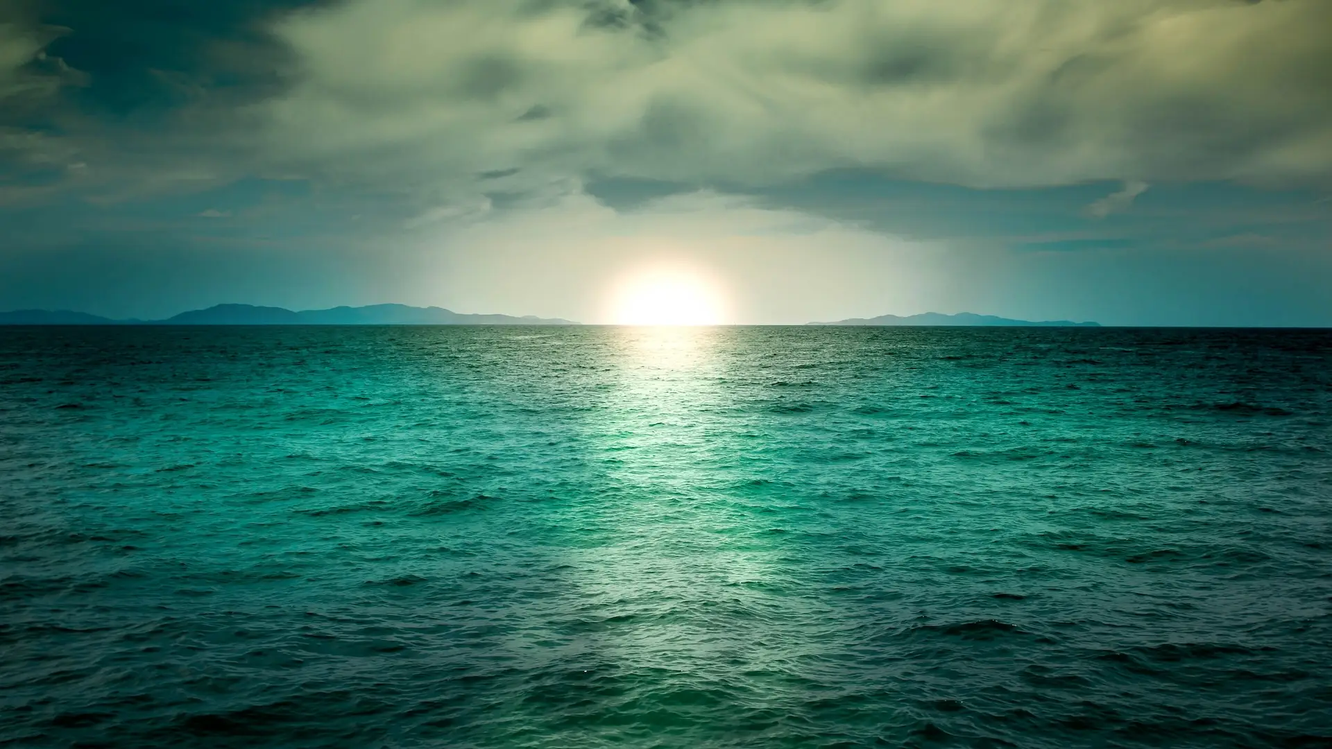 What Type Of Shark Are You? Quiz Ocean horizon