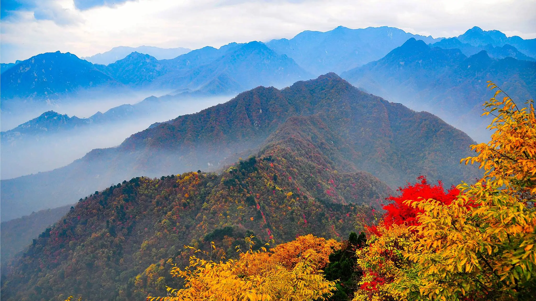Q In Geography Quiz Qinling Mountains, China