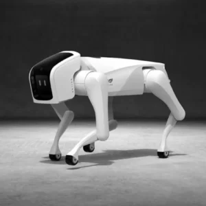 Which Apple Metaphor Are You? Quiz AI robot dog