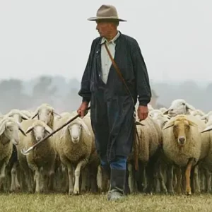 Foods Named After Professions Quiz Shepherd