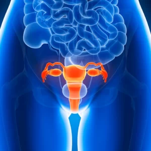 Ology Vocabulary Quiz Female reproductive health