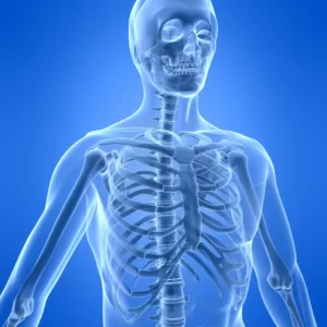 Ology Vocabulary Quiz Bones
