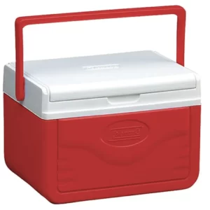 Which Summer Treat Are You? Quiz Cooler