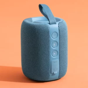 Which Summer Treat Are You? Quiz Portable speaker