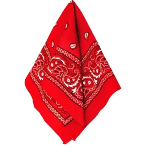 Which Summer Treat Are You? Quiz Bandana