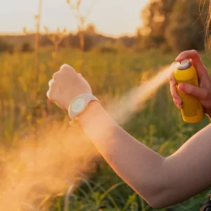 Build A Picnic & We'll Predict Your Summer Love Story Quiz Spray