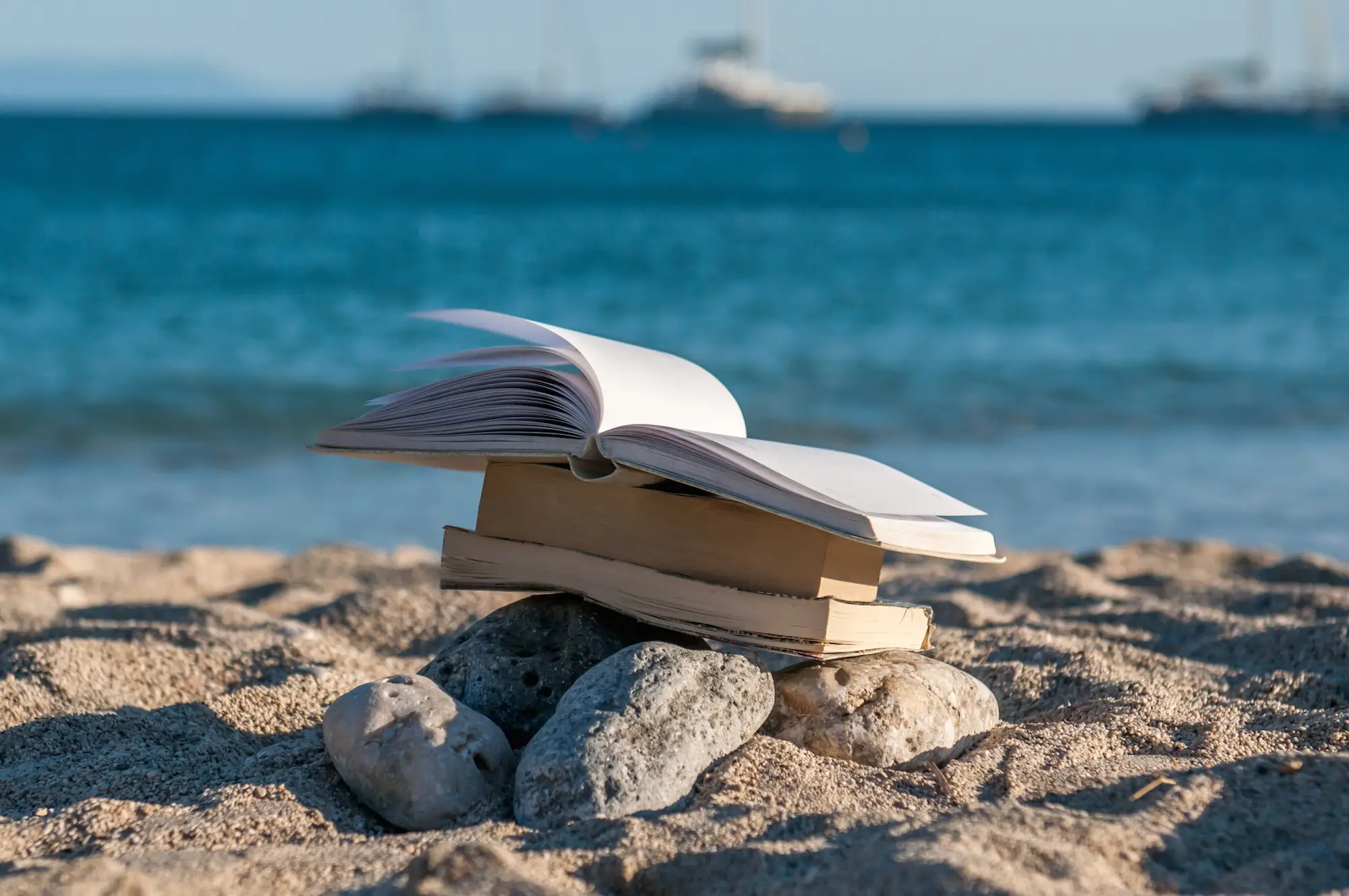 Only True Ocean Lovers Can Ace This Whale Or Shark Quiz Reading book by the beach