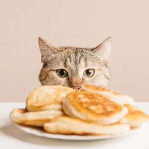 Make Pancakes & We'll Reveal Which Circular Food You Are Quiz My pet
