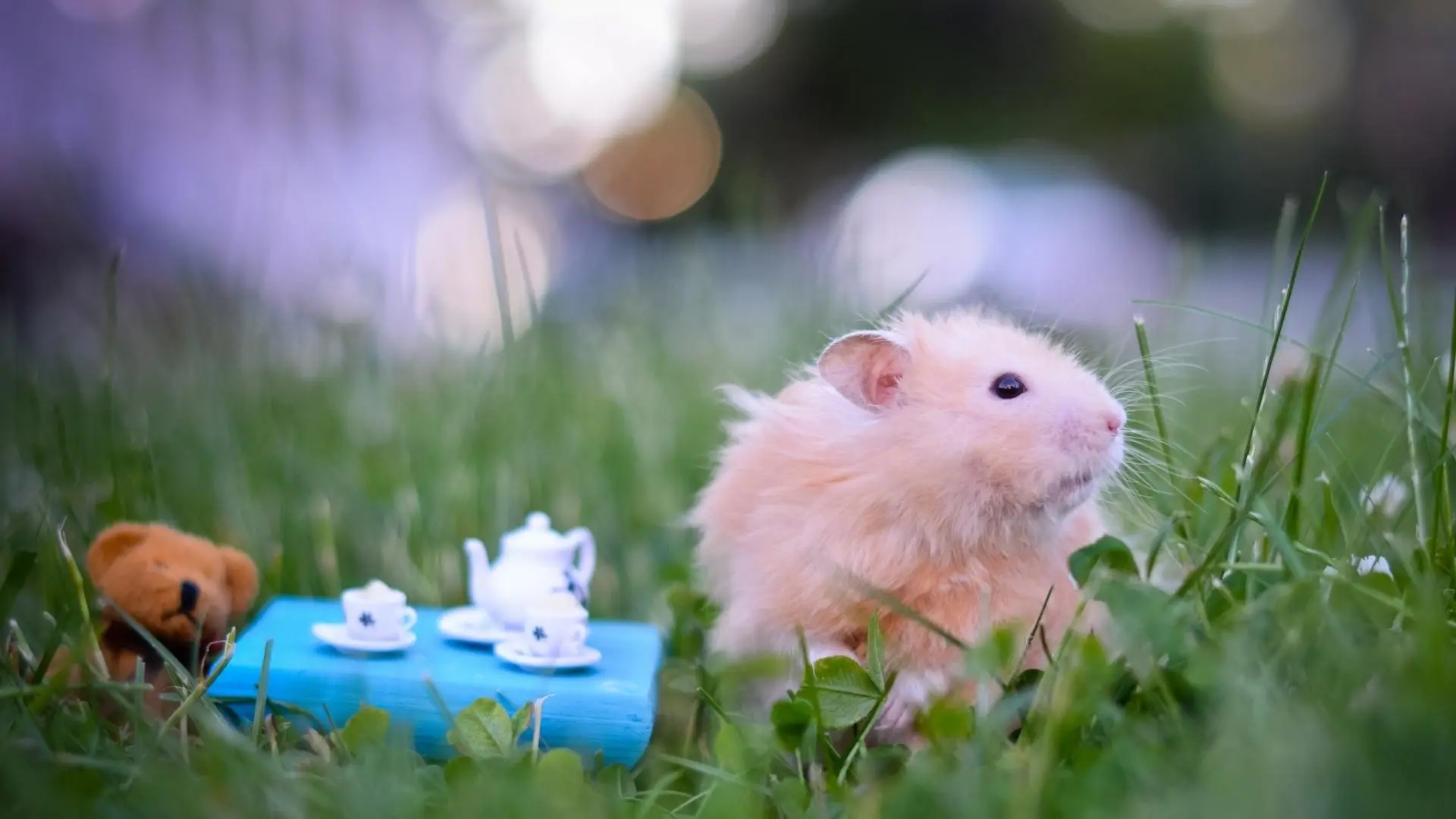 Which Who Moved My Cheese Character Are You? Quiz Cute mouse hamster