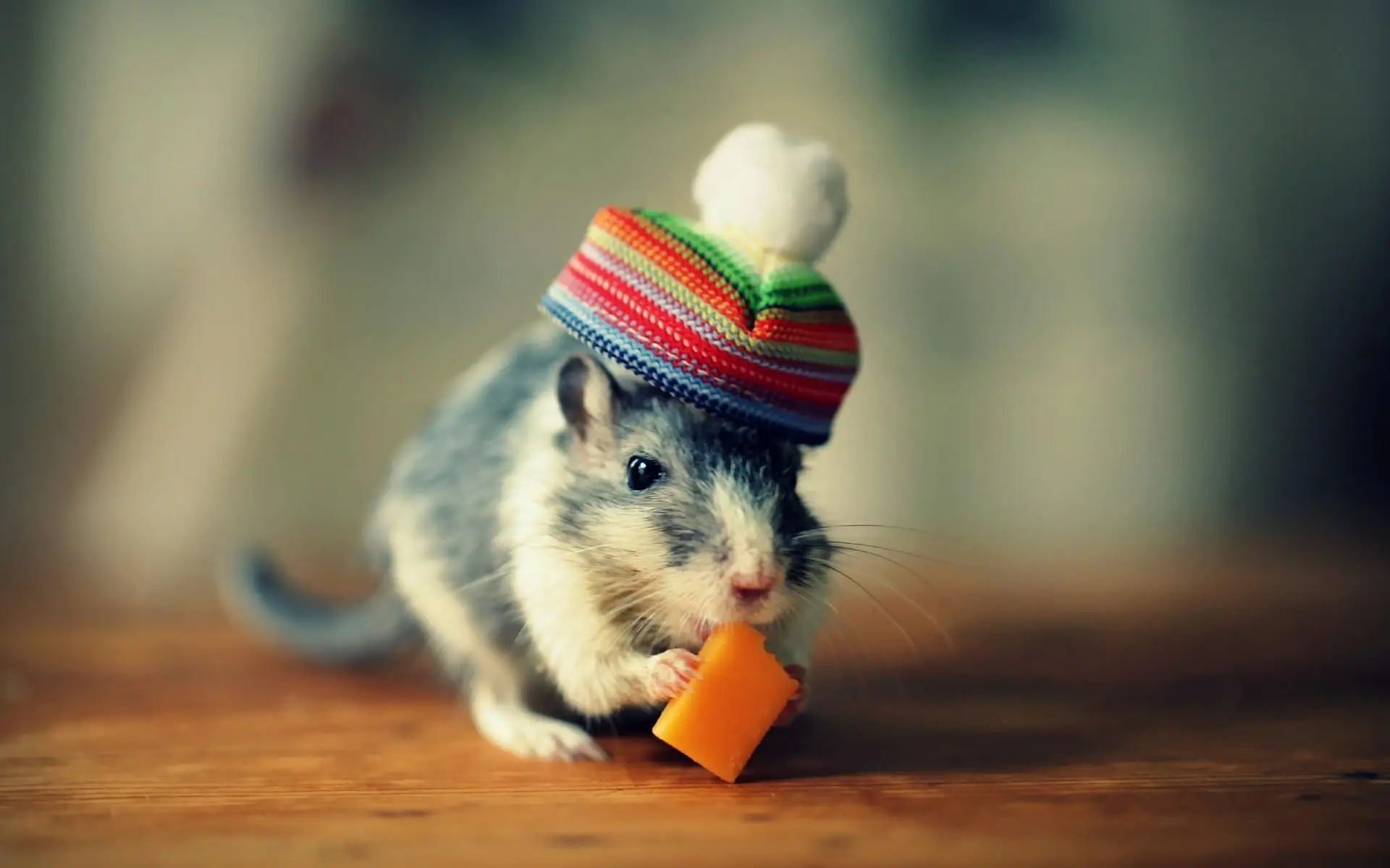 Which Who Moved My Cheese Character Are You? Quiz Cute mouse