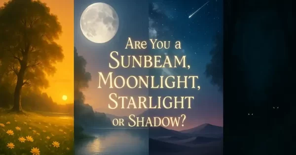 Are You A Sunbeam, Moonlight, Starlight Or Shadow? Quiz