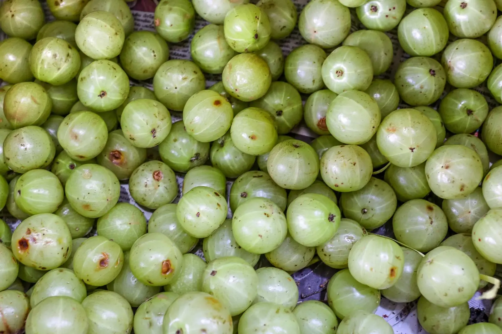 Which Fruity Cake Are You? Quiz Gooseberries