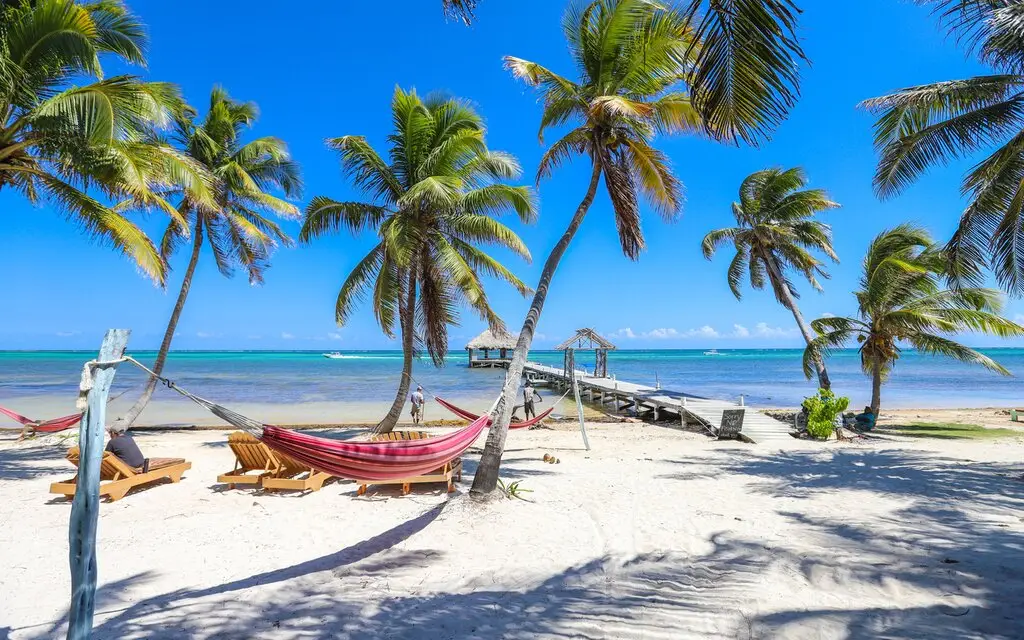 What Type Of Shark Are You? Quiz Belize beach