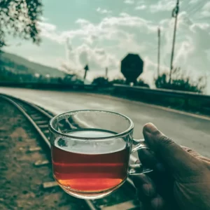 A-Z Beverage Buffet Quiz Darjeeling tea