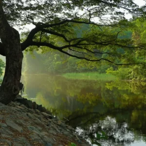 What Urban Legend Creature Are You? Quiz Riverside