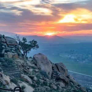 What Urban Legend Creature Are You? Quiz Cliffside