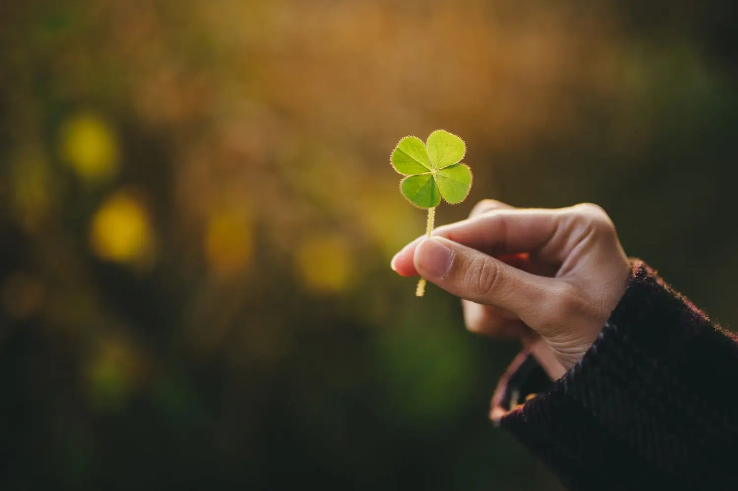 What Urban Legend Creature Are You? Quiz Four leaf clover good lucky charm