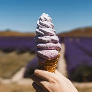Colorful Ice Cream Guess Your Age Quiz Lavender ice cream
