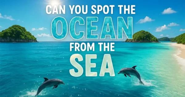 Ocean Or Sea Trivia Quiz
