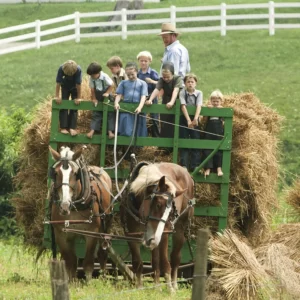 Plan Your Fall Bucket List & I'll Guess Life Era Quiz Go for a hayride