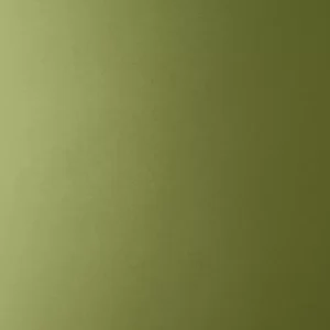 What Fall Flavor Are You? Quiz Olive green