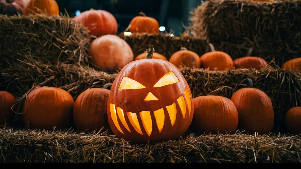 Pumpkin Trivia Quiz Halloween jack o lantern