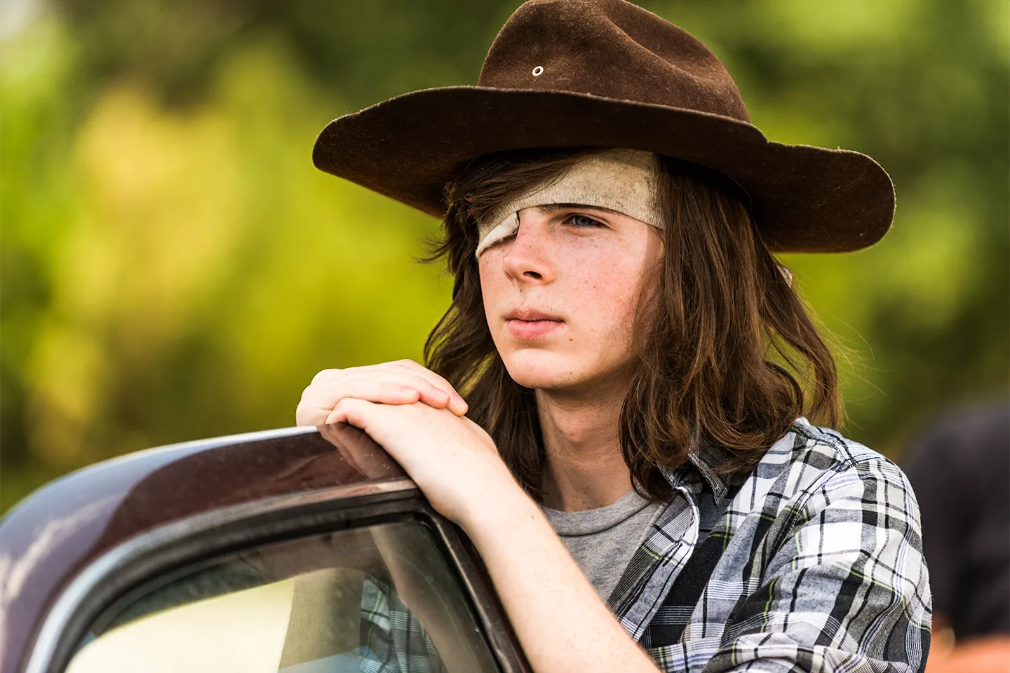 The Walking Dead Carl