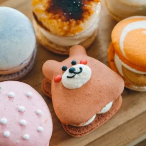 KPop Group-Seoul Travel Quiz Ddungcaron (Korean stuffed macarons)