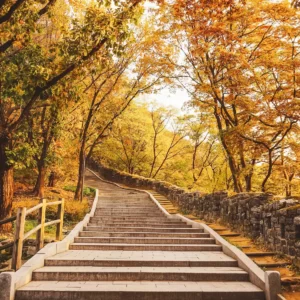 KPop Group-Seoul Travel Quiz Seoul Forest Park
