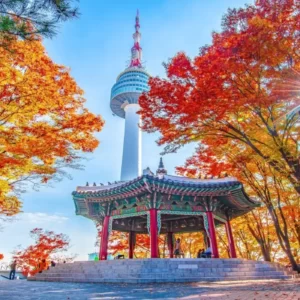 KPop Group-Seoul Travel Quiz Yeouido Park