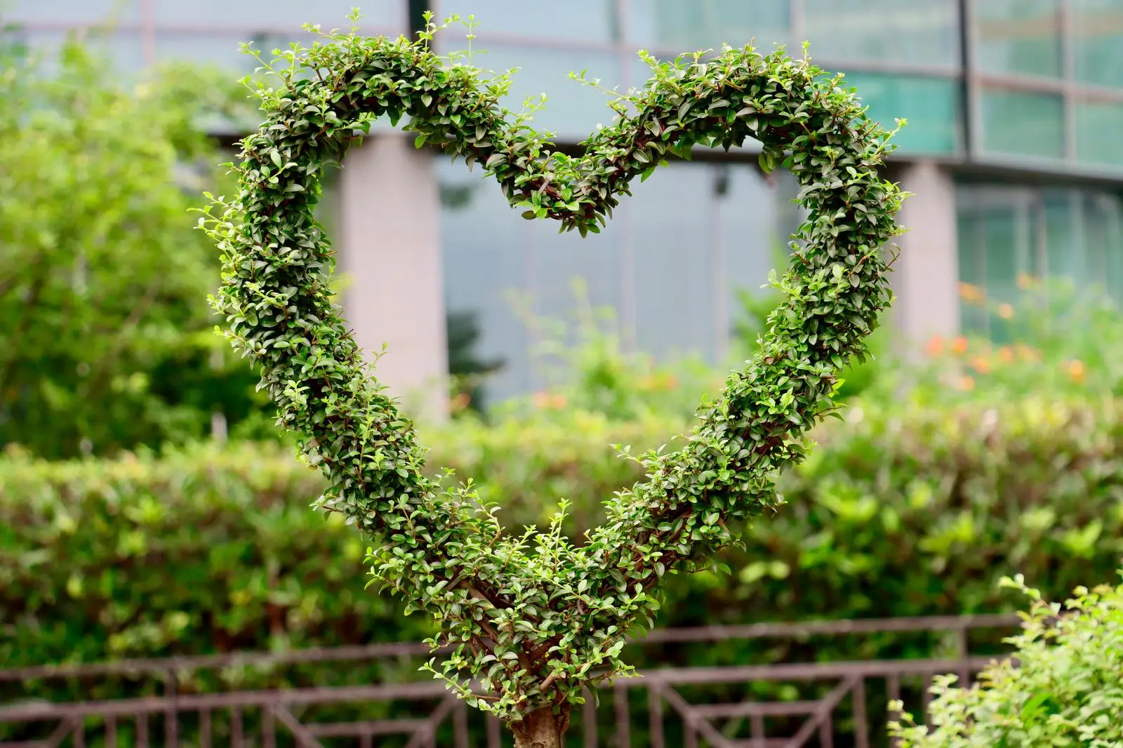 What Color Heart Emoji Are You? Quiz Heart nature