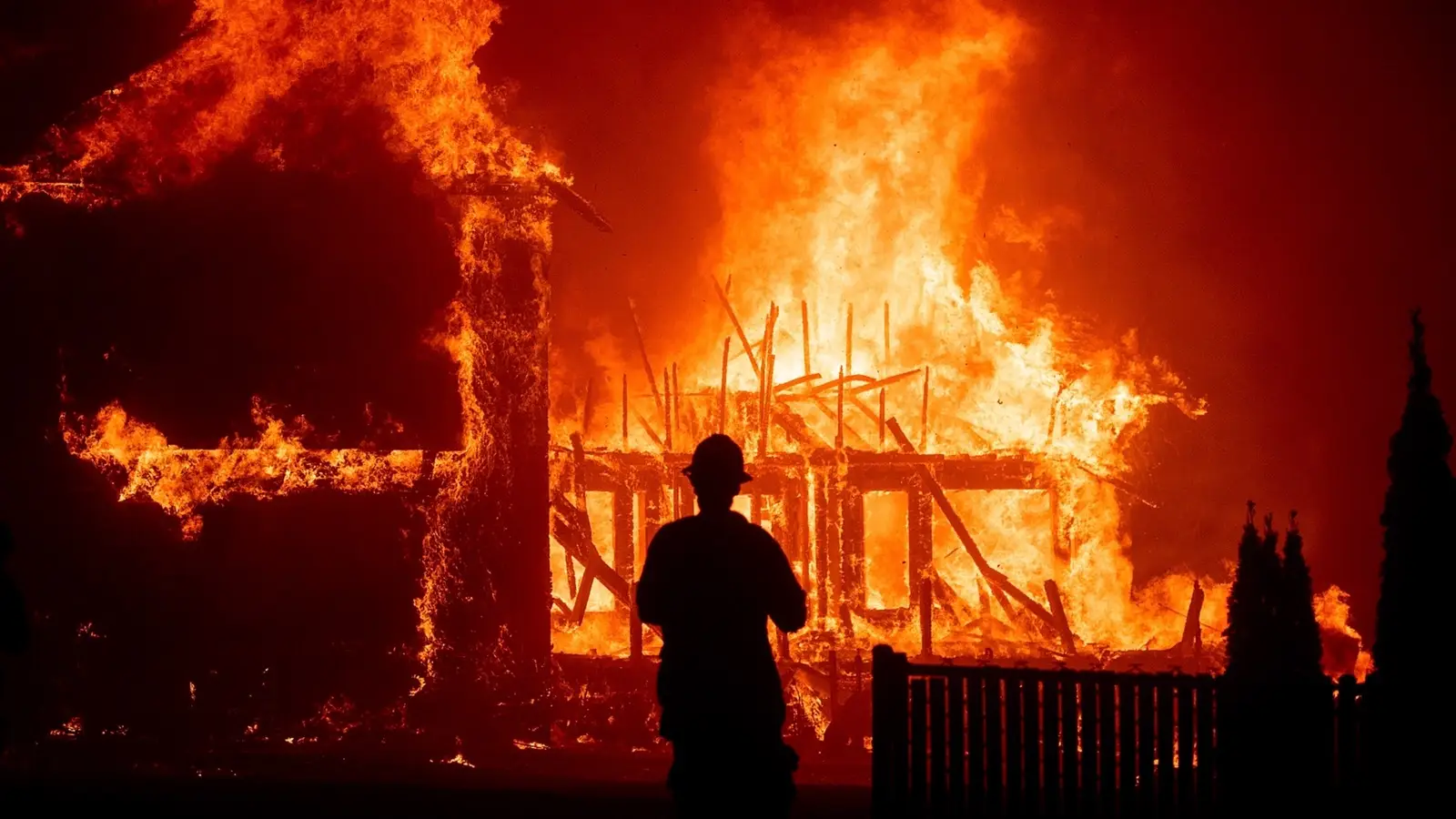 Wildfire