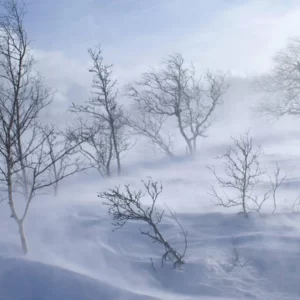 Plan Cozy Snow Day To Know Which Winter Comfort Food Yo… Quiz Howling wind
