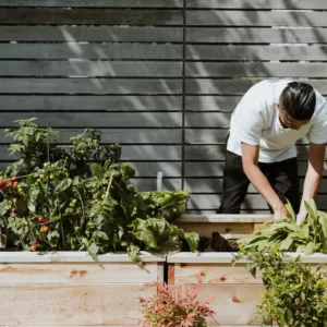 Will You Be Single, Taken, Or In Situationship This Year? Quiz A whole garden