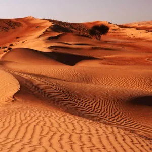 W In Geography Quiz Wahiba Sands