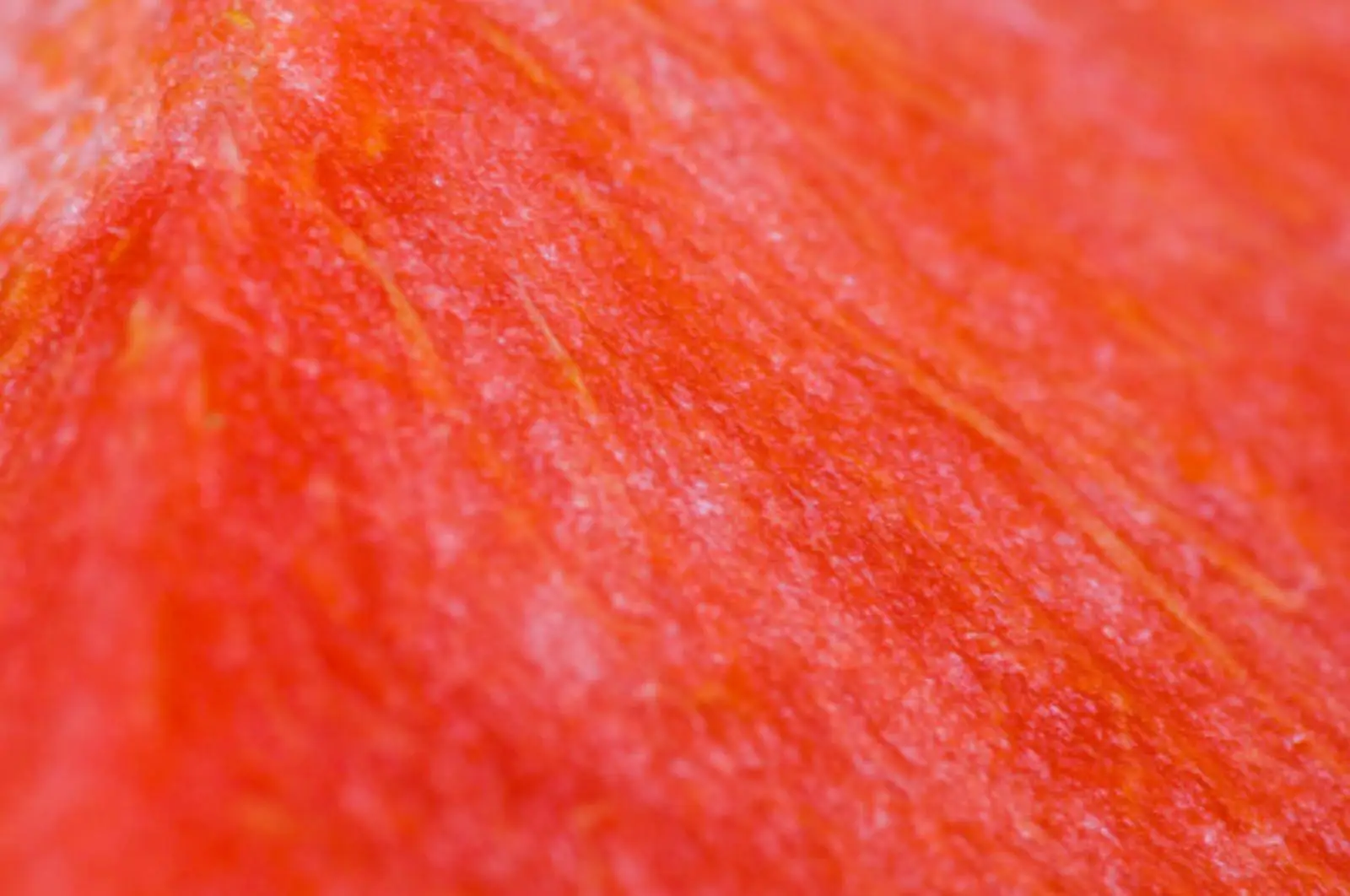 Watermelon close-up