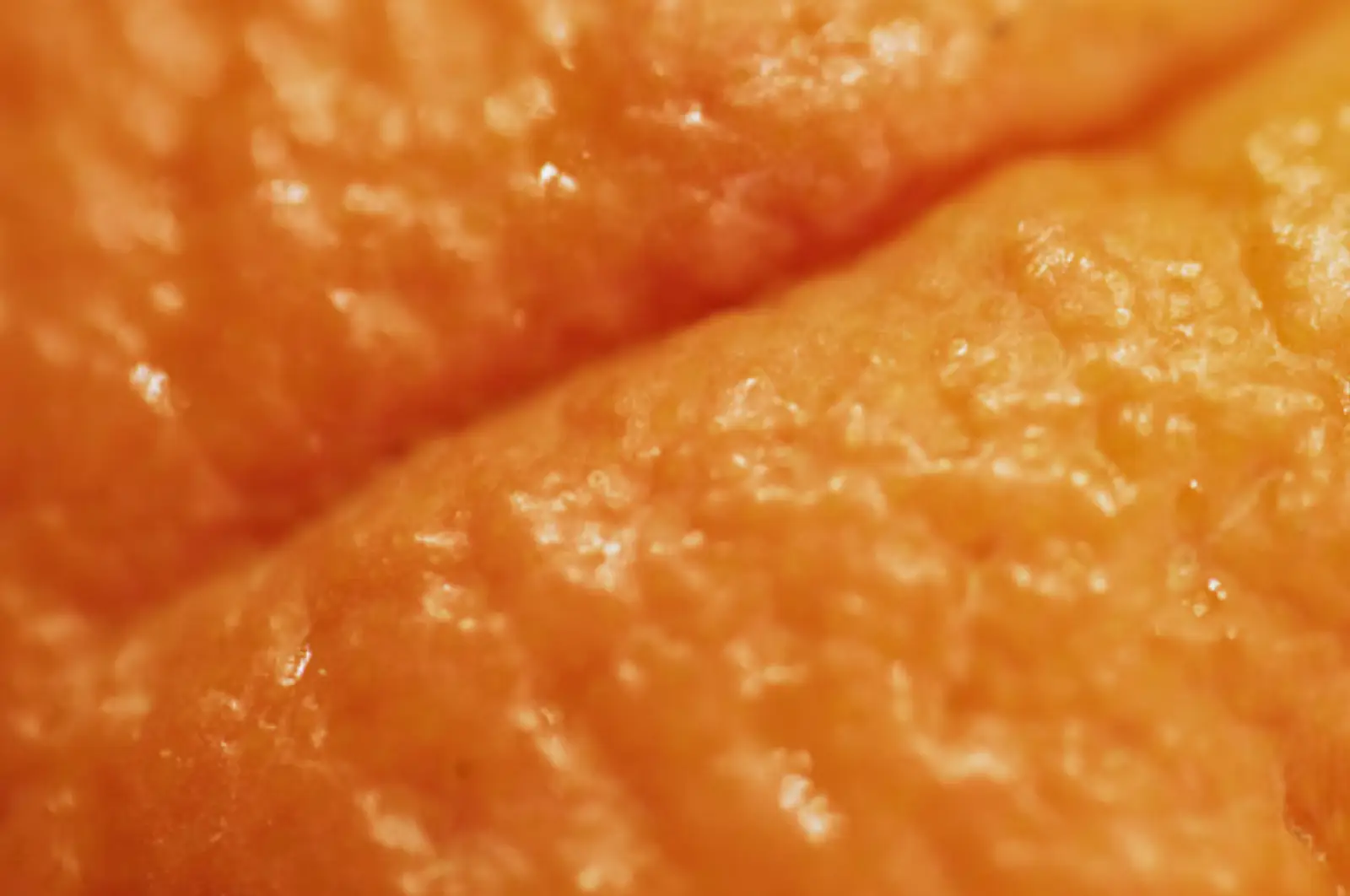 Orange close-up