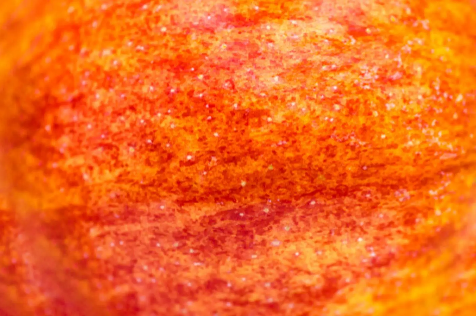 Apple close-up