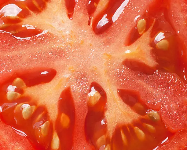 Tomato close-up