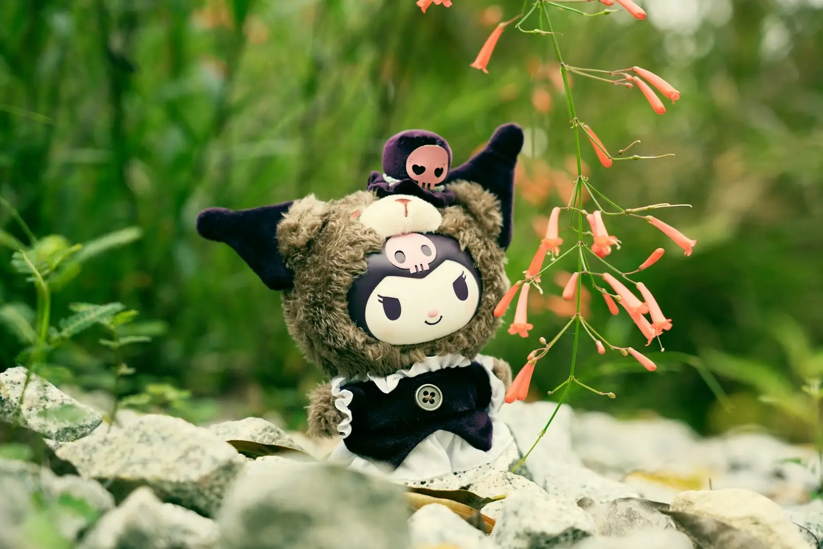What's White? General Knowledge Quiz Kuromi